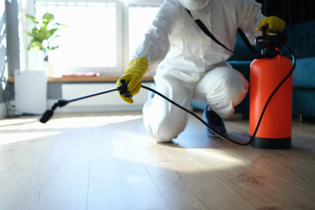 Reliable Infectious Disease Decontamination contractor in Homewood, CA by Crime Scene Cleaner Online